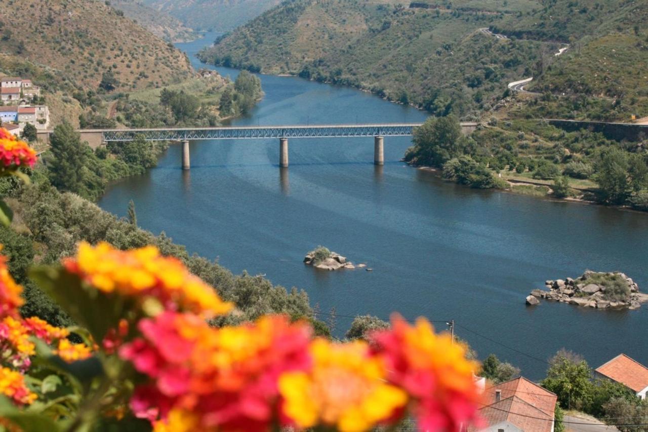 Quinta do Belo-Ver Turismo de Habitacao Belver (Gaviao) Exterior foto